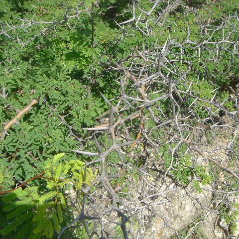 dsc05924 dsc05924