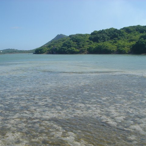 dsc05928 dsc05928