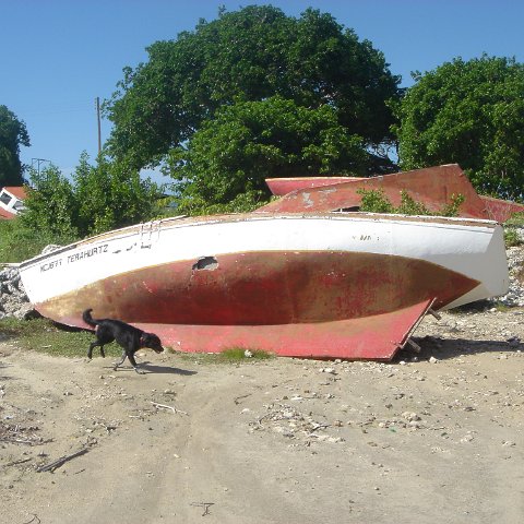 dsc05930 dsc05930
