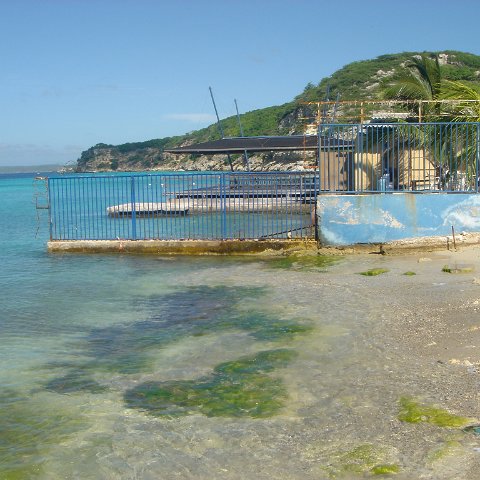 dsc05935 dsc05935