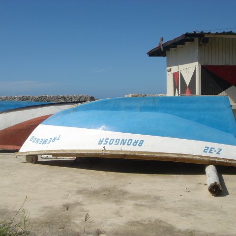 dsc05946 dsc05946