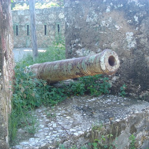 dsc05950 dsc05950