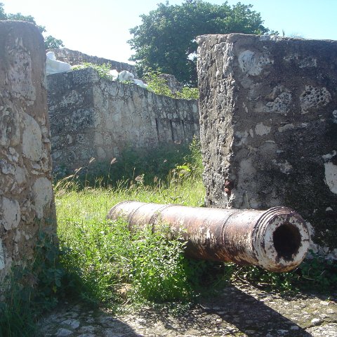 dsc05951 dsc05951