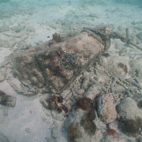 curocaobocaunderwaterleesurvey_093 curocaobocaunderwaterleesurvey_093