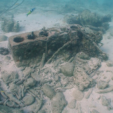 curocaobocaunderwaterleesurvey_094 curocaobocaunderwaterleesurvey_094
