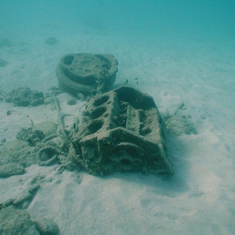 curocaobocaunderwaterleesurvey_095 curocaobocaunderwaterleesurvey_095