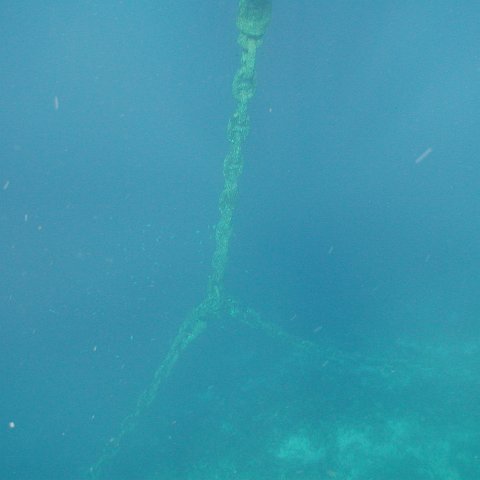 curocaobocaunderwaterleesurvey_101 curocaobocaunderwaterleesurvey_101