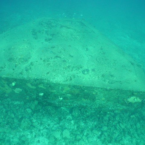 curocaobocaunderwaterleesurvey_106 curocaobocaunderwaterleesurvey_106