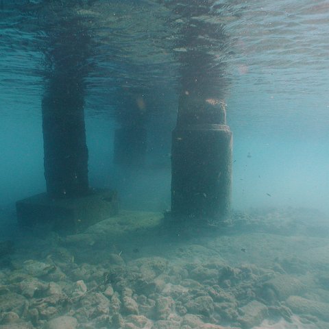 curocaobocaunderwaterleesurvey_111 curocaobocaunderwaterleesurvey_111