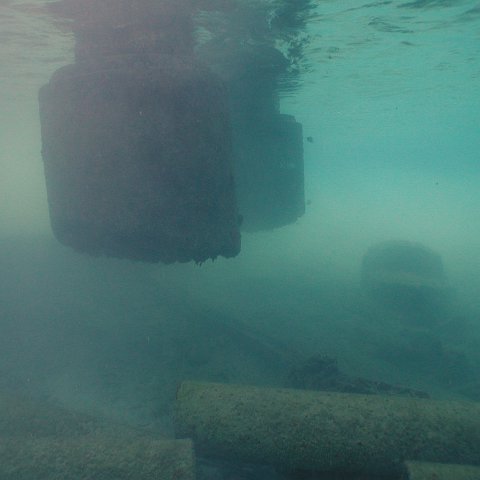curocaobocaunderwaterleesurvey_113 curocaobocaunderwaterleesurvey_113
