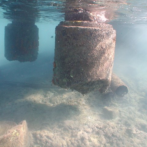 curocaobocaunderwaterleesurvey_119 curocaobocaunderwaterleesurvey_119