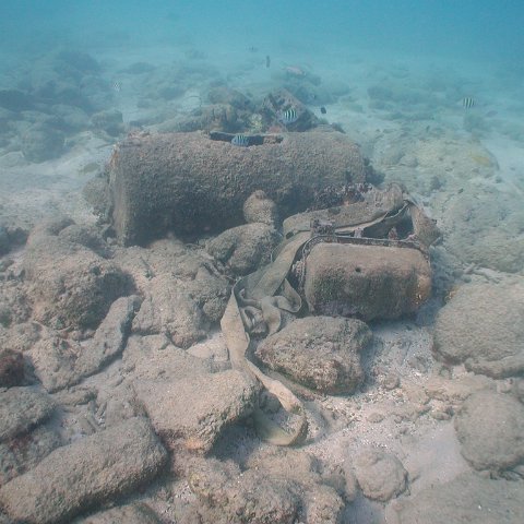 curocaobocaunderwaterleesurvey_125 curocaobocaunderwaterleesurvey_125