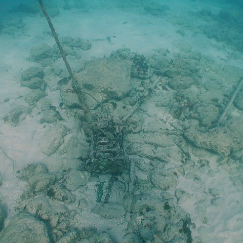 curocaobocaunderwaterleesurvey_128 curocaobocaunderwaterleesurvey_128