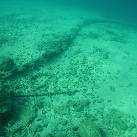 curocaobocaunderwaterleesurvey_139 curocaobocaunderwaterleesurvey_139