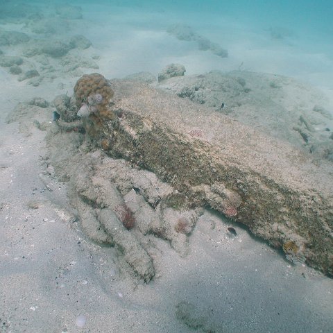 curocaobocaunderwaterleesurvey_150 curocaobocaunderwaterleesurvey_150