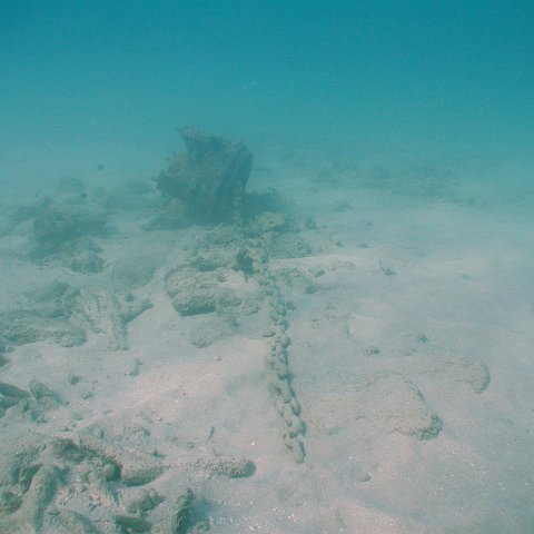 curocaobocaunderwaterleesurvey_162 curocaobocaunderwaterleesurvey_162