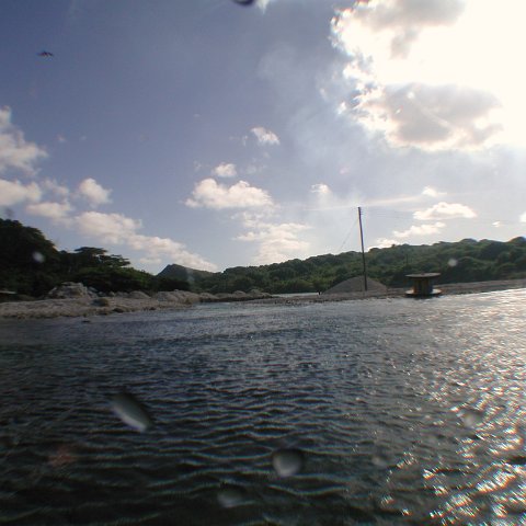 curocaobocaunderwaterleesurvey_172 curocaobocaunderwaterleesurvey_172