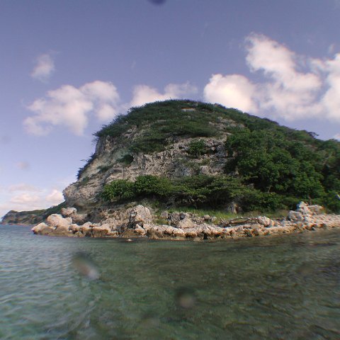 curocaobocaunderwaterleesurvey_173 curocaobocaunderwaterleesurvey_173