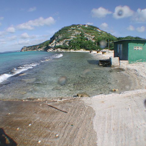 curocaobocaunderwaterleesurvey_182 curocaobocaunderwaterleesurvey_182