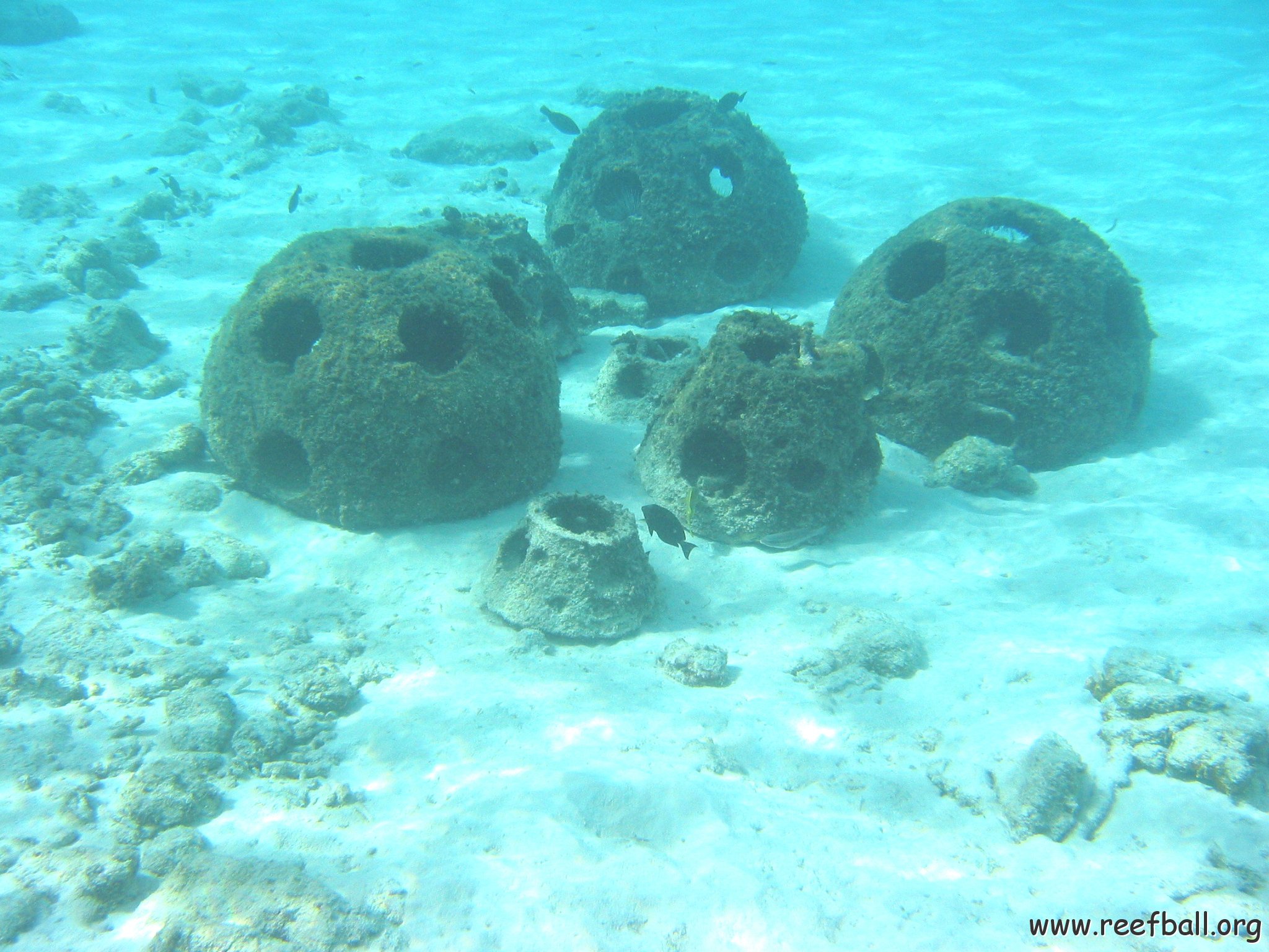 reef_ball_cluster_shallow_east