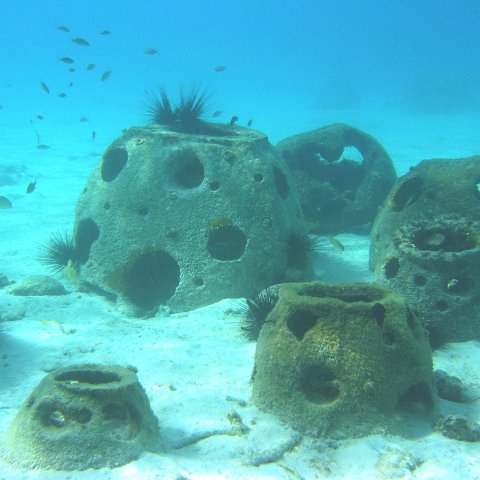 cluster_8,_one_of_the_first_clusters