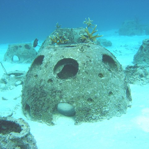 reef_ball_cluster_12_with_plugs,_east 