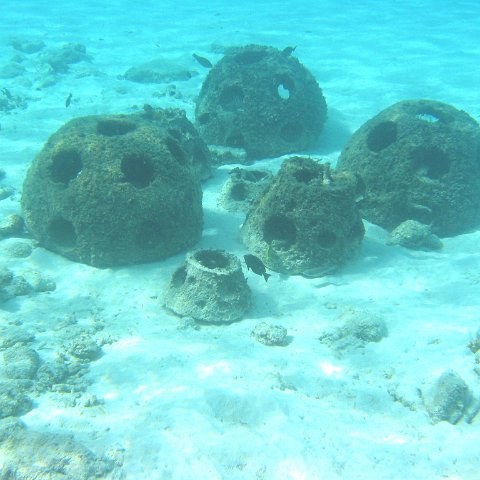 reef_ball_cluster_shallow_east