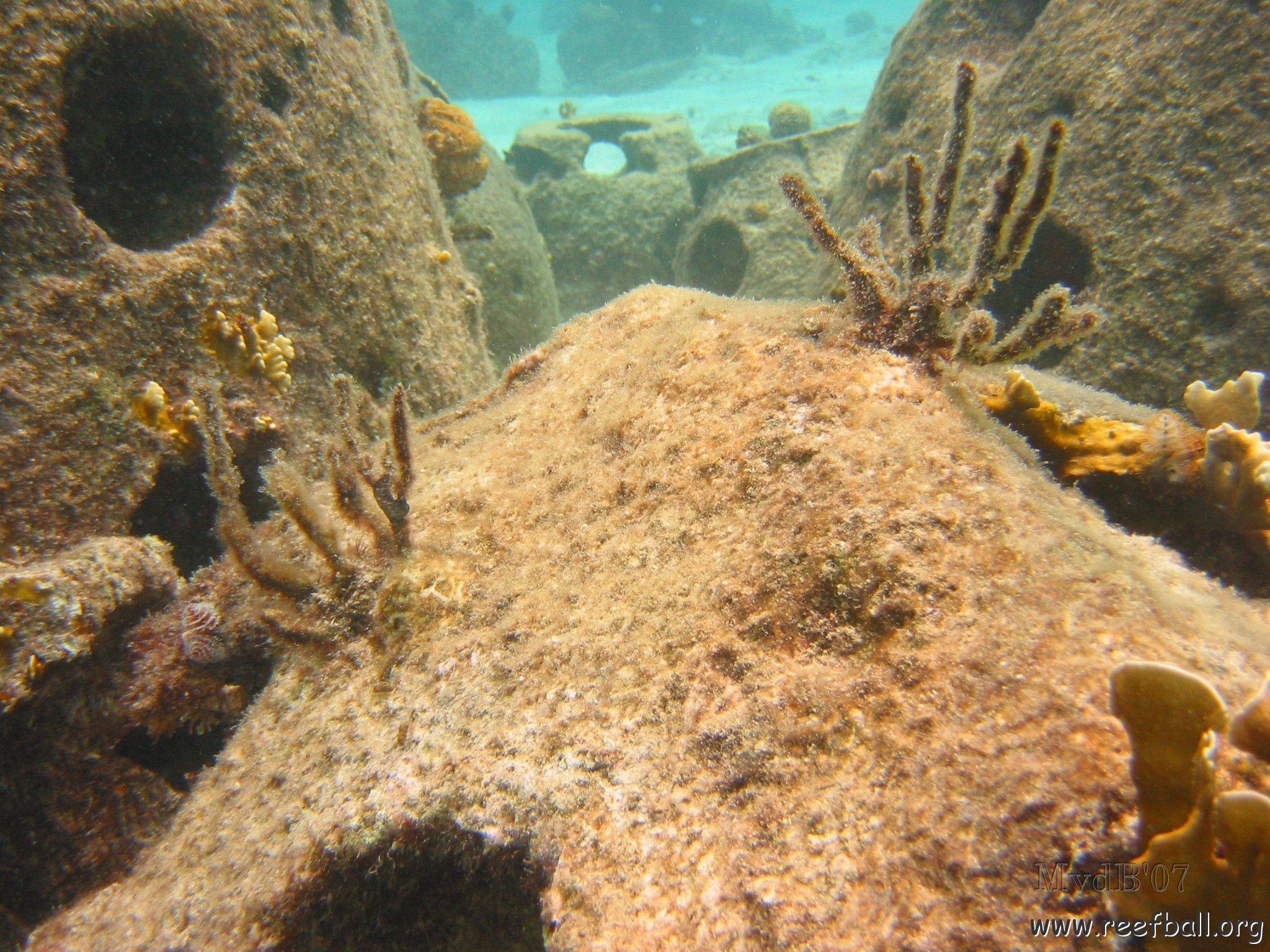 23-07-07 CL 10 W, 8Pa SRB .jpg