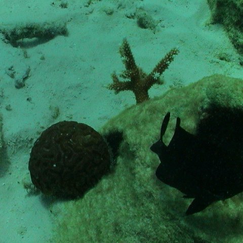 dsc00137 dsc00137