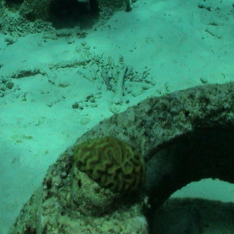 dsc00138 dsc00138