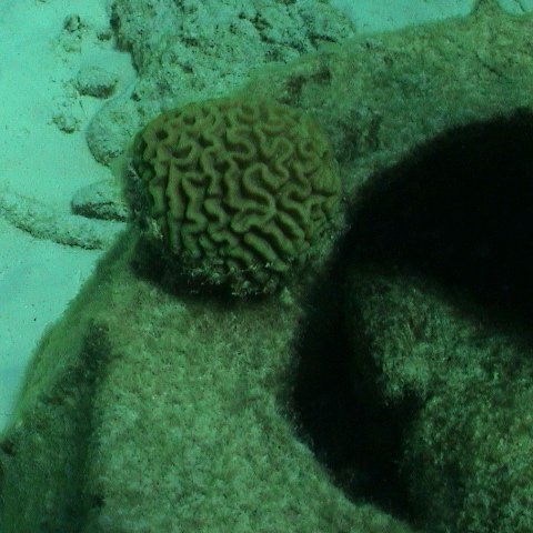 dsc00140 dsc00140