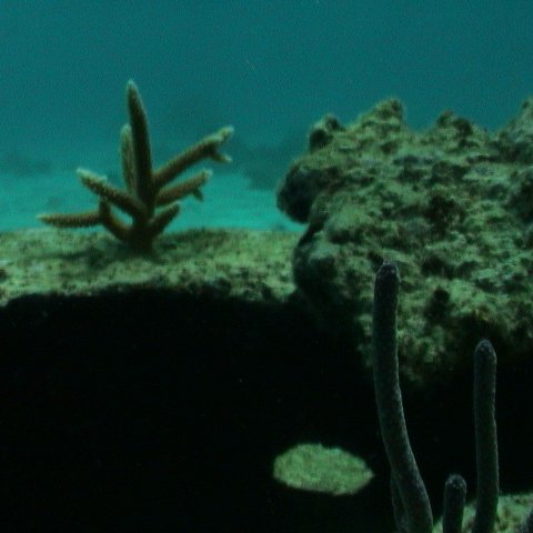dsc00141 dsc00141