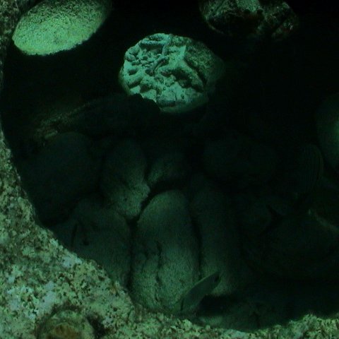 dsc00156 dsc00156