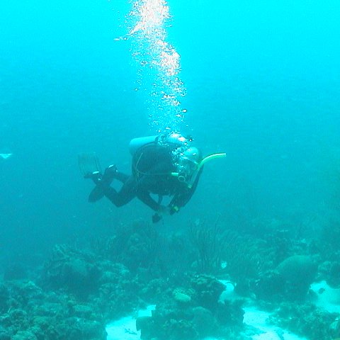 dsc00213 dsc00213