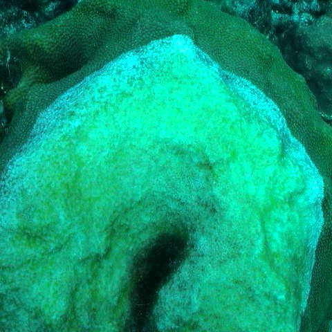dsc00237 dsc00237