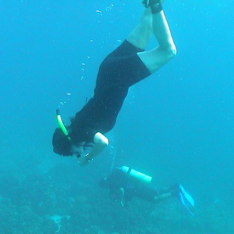 dsc00246 dsc00246