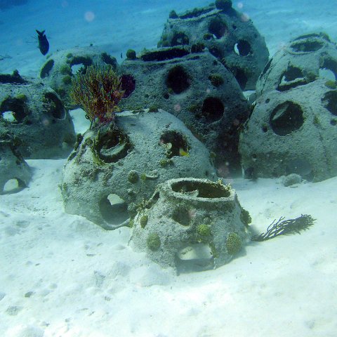 Reefball colony Reefball colony