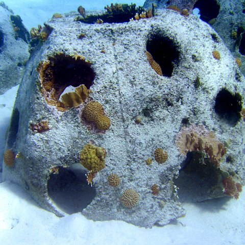 Reefball up close Reefball up close