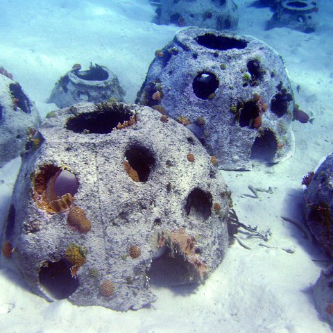 Reefballs with coral growth Reefballs with coral growth