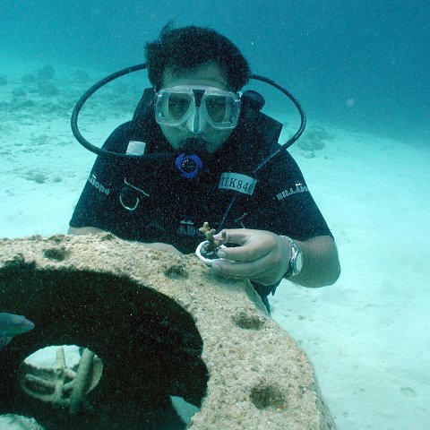 p2023908 p2023908