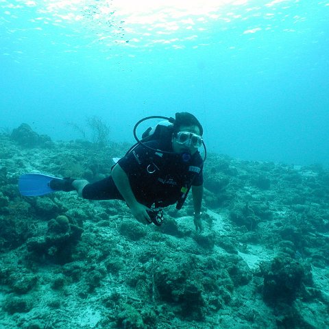 p2023913 p2023913
