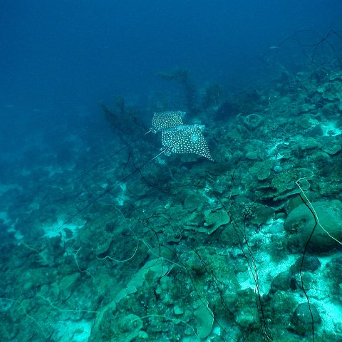 p2023922 p2023922