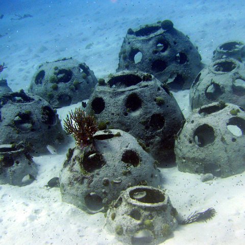 Curacao Reef Ball Projects and Photos Curacao Reef Ball Projects and Photos