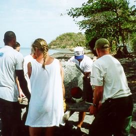 image11 image11
