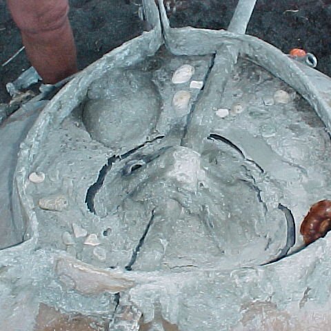 mvc-138f mvc-138f