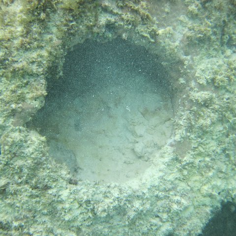 IMG_0091 IMG_0091