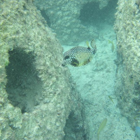 IMG_0092 IMG_0092