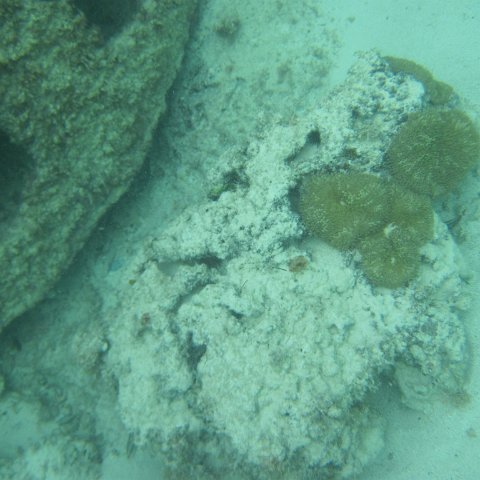 IMG_0094 IMG_0094