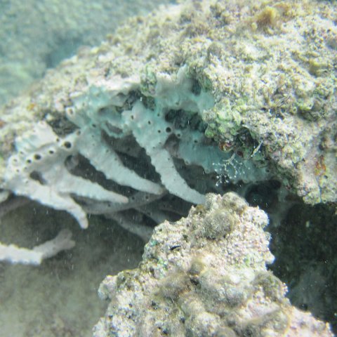IMG_0096 IMG_0096