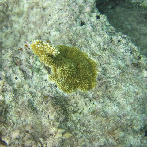 IMG_0097 IMG_0097